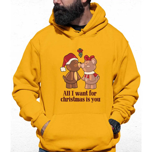 All I Want For Christmas Is You Colour Hoodie