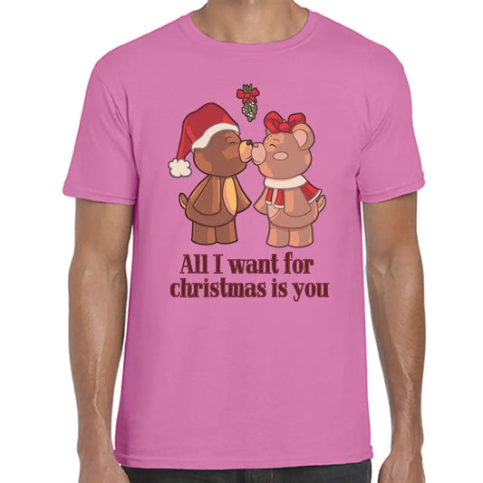 All I Want For Christmas Is You T-Shirt - Tshirtpark.com