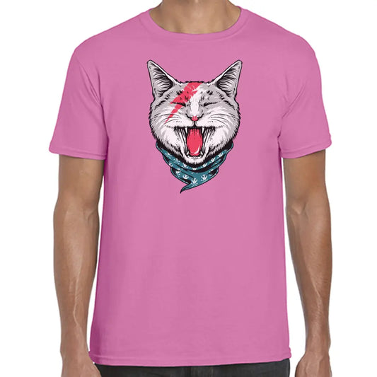 Bandana Cat T-Shirt - Tshirtpark.com