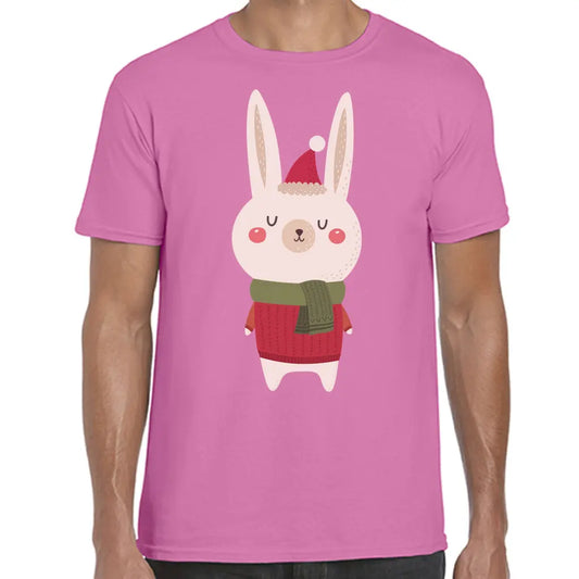 Christmas Rabbit Scarf T-Shirt - Tshirtpark.com