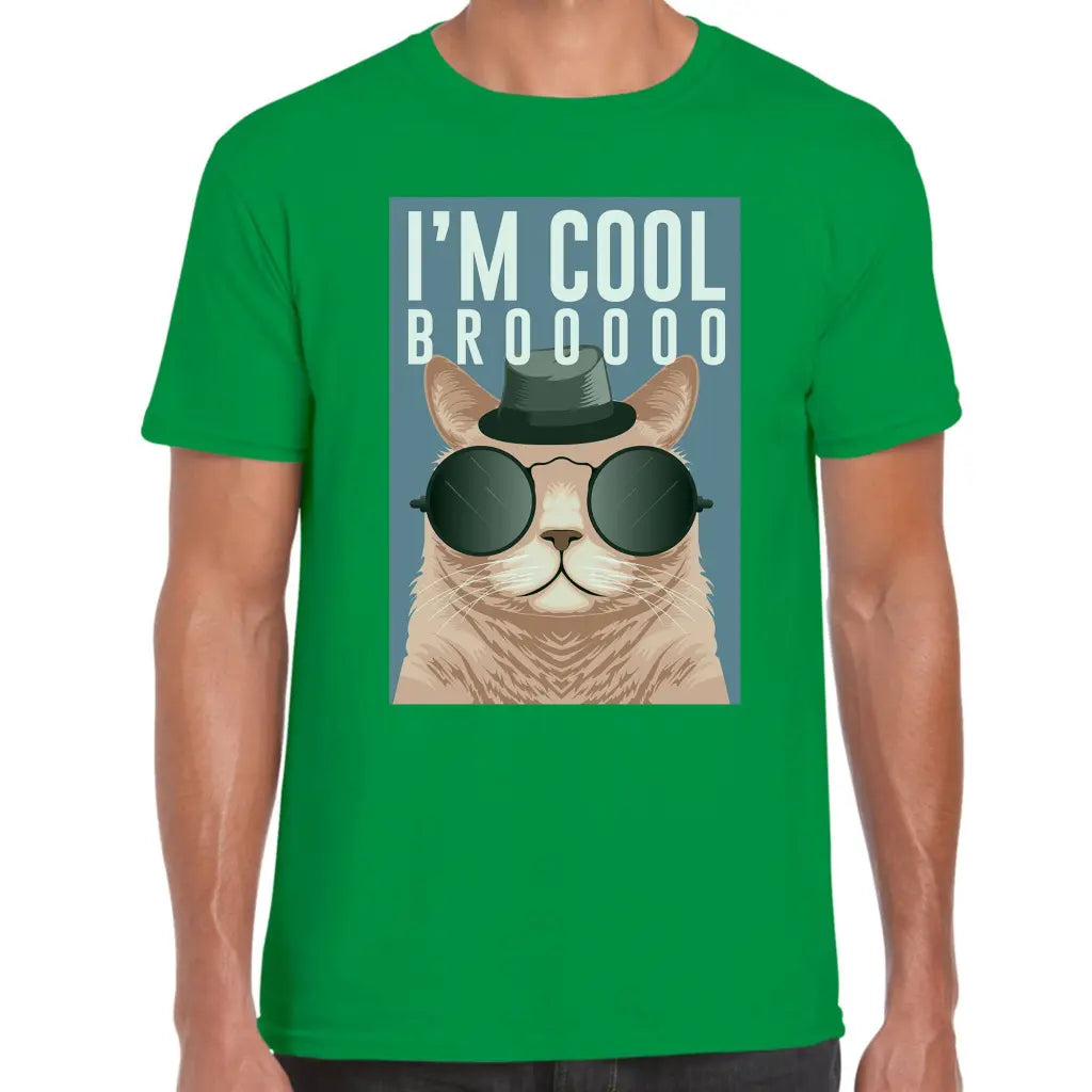 Cool Bro Cat T-Shirt - Tshirtpark.com