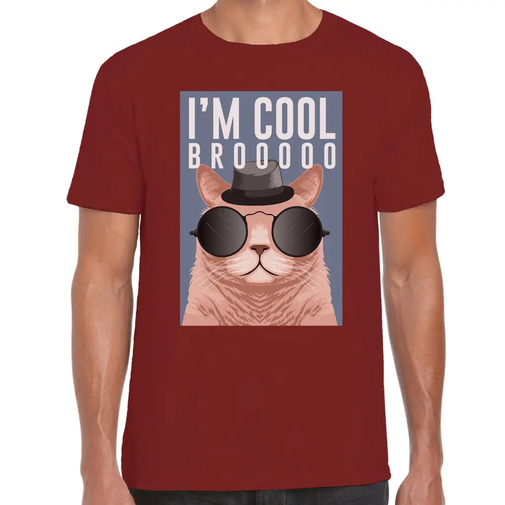 Cool Bro Cat T-Shirt - Tshirtpark.com