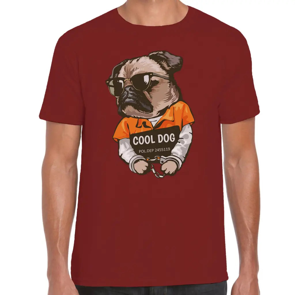 Cool Dog T-Shirt - Tshirtpark.com