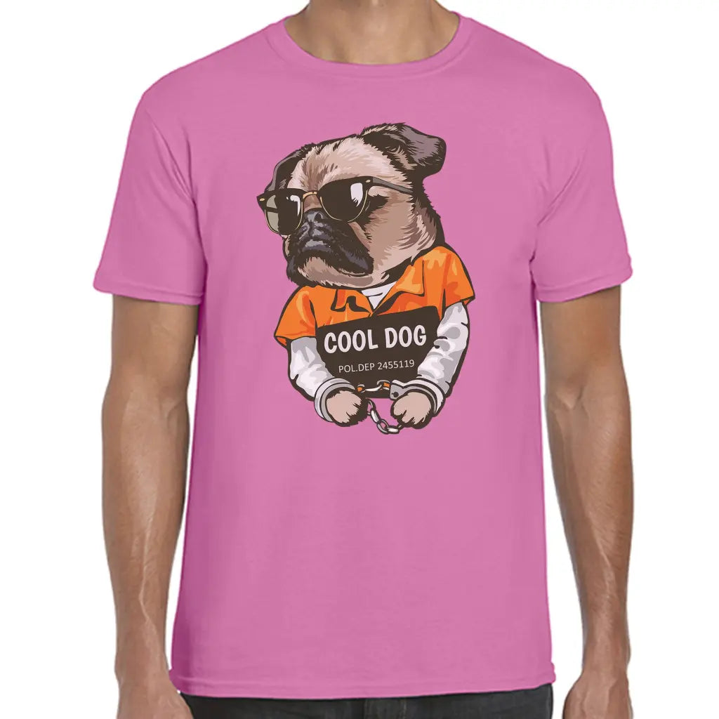 Cool Dog T-Shirt - Tshirtpark.com