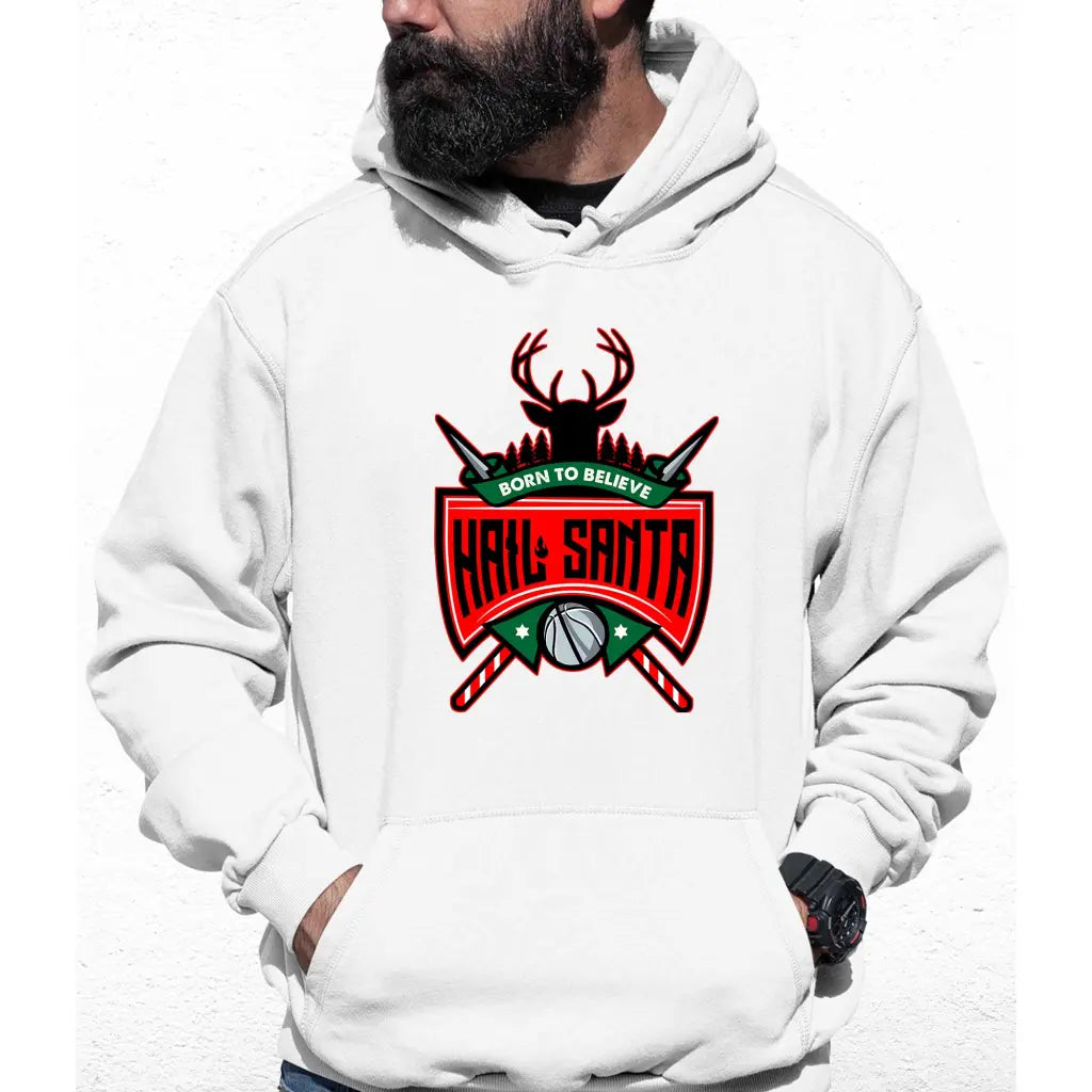 Hail Santa Colour Hoodie - Tshirtpark.com