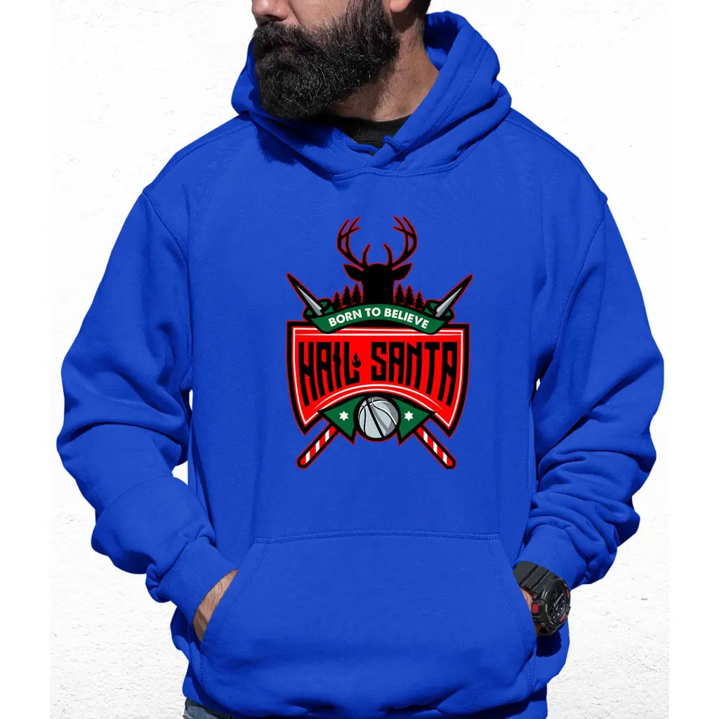 Hail Santa Colour Hoodie - Tshirtpark.com