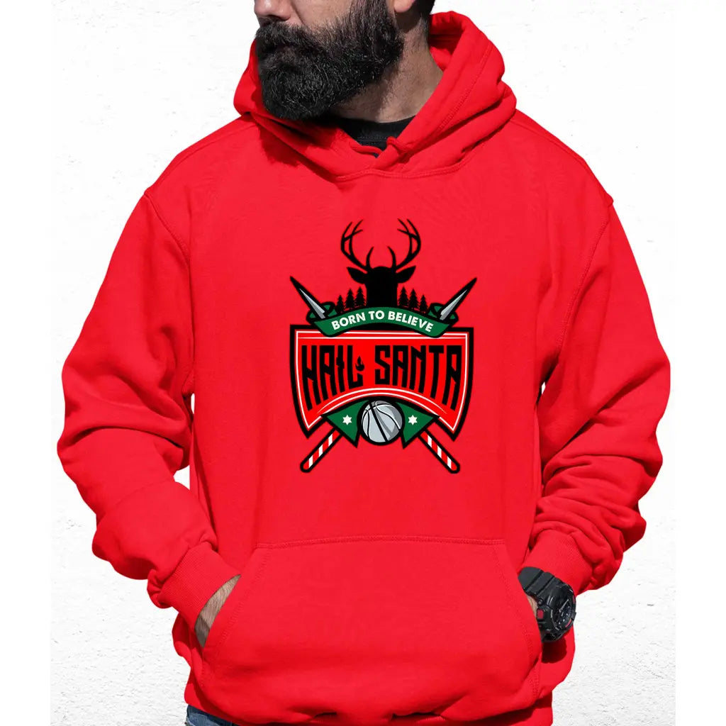 Hail Santa Colour Hoodie - Tshirtpark.com