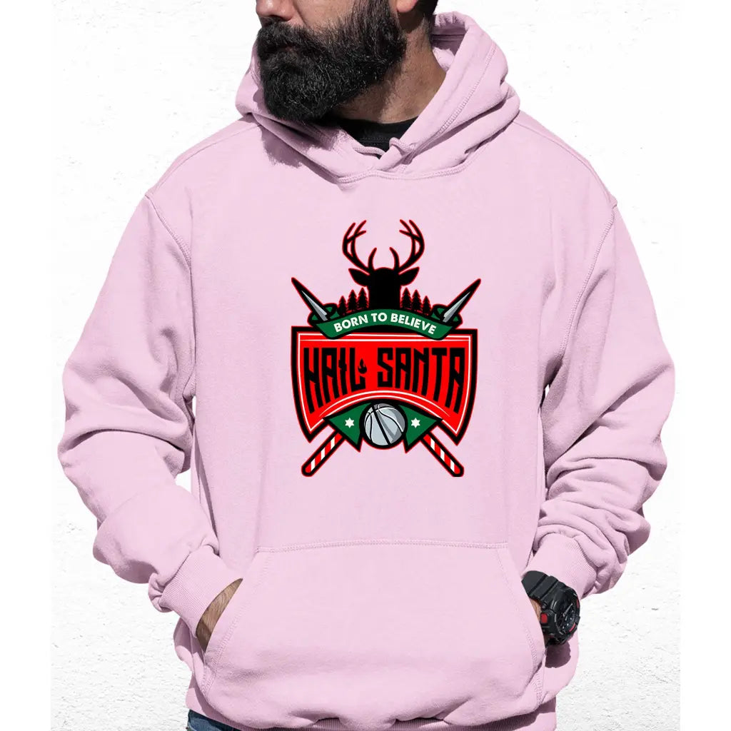 Hail Santa Colour Hoodie - Tshirtpark.com