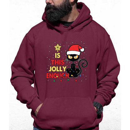 Is This Jolly Enough Colour Hoodie - Tshirtpark.com