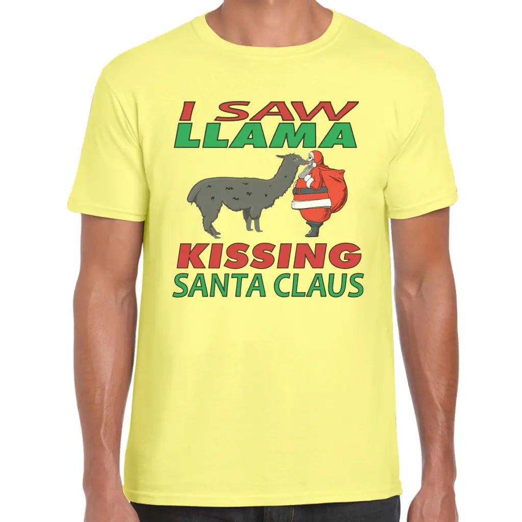 Llama Santa T-Shirt - Tshirtpark.com