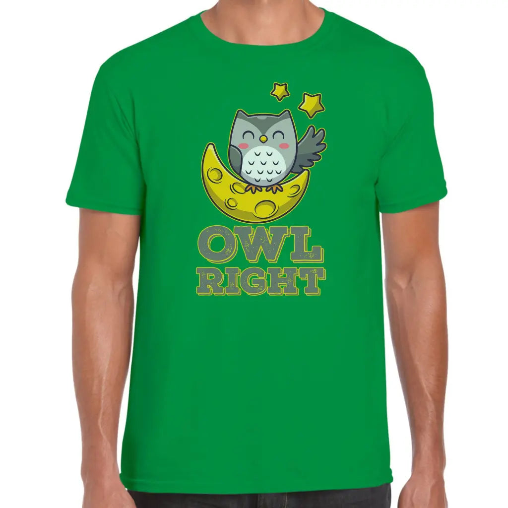 Owl Right T-Shirt - Tshirtpark.com