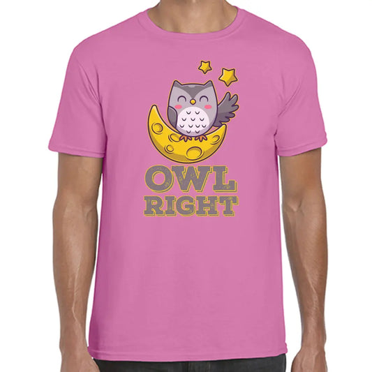 Owl Right T-Shirt - Tshirtpark.com