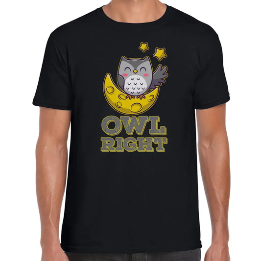 Owl Right T-Shirt - Tshirtpark.com