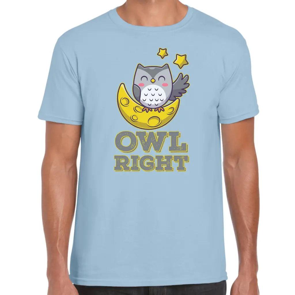 Owl Right T-Shirt - Tshirtpark.com