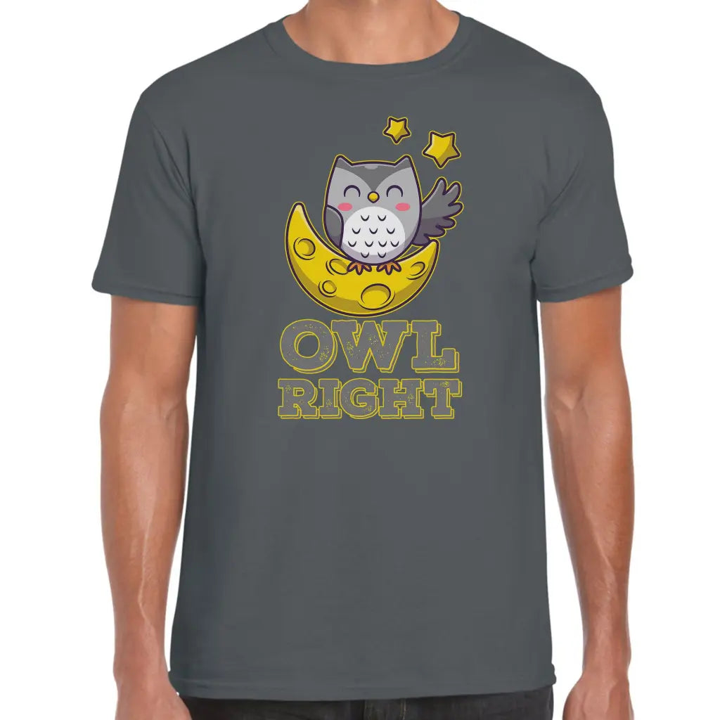 Owl Right T-Shirt - Tshirtpark.com