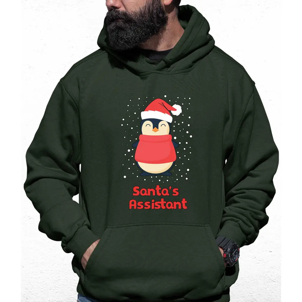 Santa’s Assistant Colour Hoodie - Tshirtpark.com