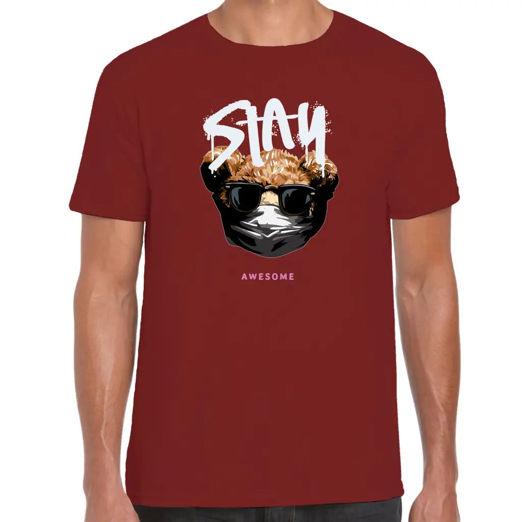 Stay Awesome Teddy T-Shirt - Tshirtpark.com