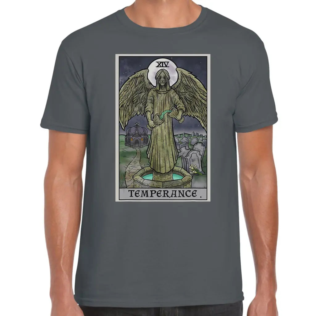 Temperance Angel T-Shirt - Tshirtpark.com