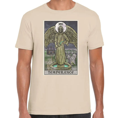 Temperance Angel T-Shirt - Tshirtpark.com