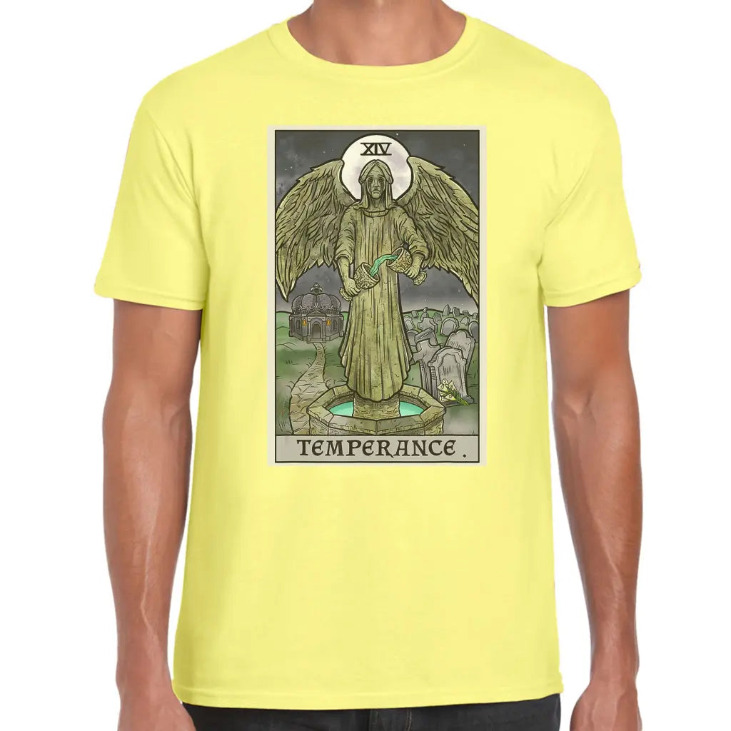 Temperance Angel T-Shirt - Tshirtpark.com