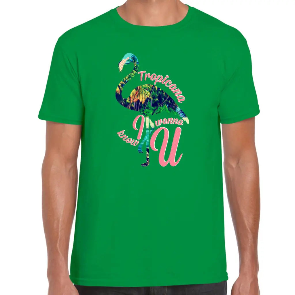 Tropicana Flamingo T-Shirt - Tshirtpark.com